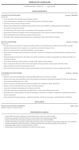 Big Data Developer Resume Sample Mintresume