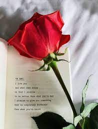 Pin By Nishath Sarwath On Cute Beautiful Love Flowers Rose Quotes Red Roses Wallpaper