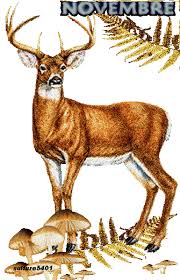 RÃ©sultat de recherche d'images pour "automne gif"