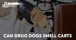 Can Drug Dogs Smell Carts? Can You Make Them Odor Proof?