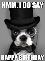 100 Ultimate Funny Happy Birthday Meme S My Happy Birthday Wishes Dapper Dogs Boston Terrier Terrier