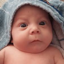 Trison Lee Combs Wild