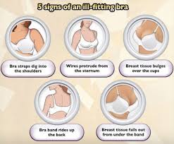 Knowing your sister sizes can help you find your best fit when buying bras that run smaller or larger than normal. What Are The Different Bra Sizes What Does The Number And Letter Represent Respectively Quora