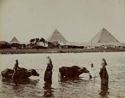 لقطة نادره من امام اهرامات الجيزة وقت الفيضان حوالي عام 1880 م من صفحة مصر زمان صور تاريخية قديمة و نادرة old egypt egyptian history egypt