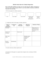 Bioflix Study Sheet For Cellular Respiration