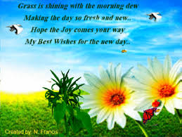 We did not find results for: Good Morning Sunday Quotes Gif 81 Quotes