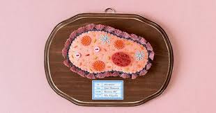Giant Paramecium Felting Projects Crafts For Kids Crafts