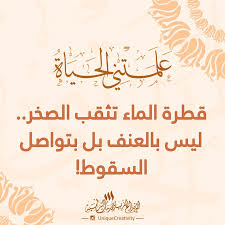 قطرة الماء تثقب الصخر ليس بالعنف بل بتواصل السقوط Quotes Words Sayings