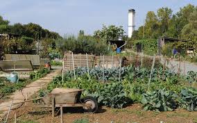 A La Rochelle Ruee Sur Les Jardins Familiaux Le Parisien