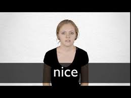 Nice Definition And Meaning Collins English Dictionary