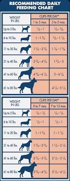 46 Particular Food Chart For Puppies