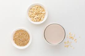Image result for Avena sativa