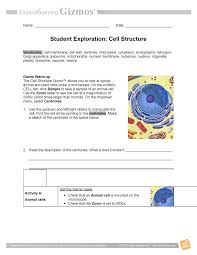 Student exploration cell division gizmo answer key. Gizmo Cell Structure Worksheet For Highschool Bio Studocu
