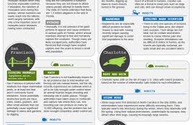 Understanding the pest factors in pest analysis. The Biggest Pest Problems In Major U S Cities Abc Humane Wildlife Control And Prevention