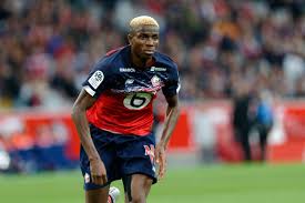 Career stats (appearances, goals, cards) and transfer history. Report Bayern Munich Are Scouting Lille S Victor Osimhen Bavarian Football Works