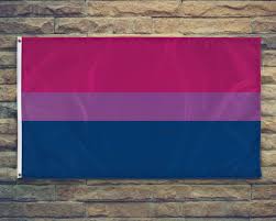 Shop flags starting at only $12.95. Sexuality Flags Lgbt Symbols The Ultimate Pride Guide