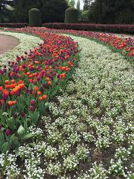 Eintrittspreise) an der kasse zu entrichten. Nordpark Und Japanischer Garten Schwarzweissundbunt