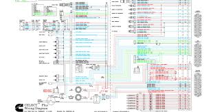 You must log in or register to reply here. Diagram Mins M11 Ecm Wiring Diagram Full Version Hd Quality Wiring Diagram Diagramreppv Santaclausvillagesalerno It