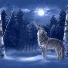 Best Wolf Howling At Moon Gifs Gfycat Wolf howling at the full moon on make a gif. best wolf howling at moon gifs gfycat