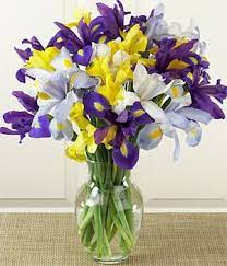 History And Meaning Of Iris Proflowers Blog Inexpensive Wedding Flowers Flower Arrangements Iris Flowers
