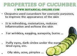Properties Of Cucumbers Botanical Online Cucumber is made up of up to 97% water and is filled with nutrients that benefit your overall bodily health and, of course, your skin.