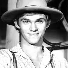 The Waltons of Waltons Mountain