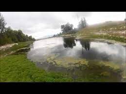 Bass Fishing Crowthers Reservoir Stoked Bass Fishing Fishing Places Reservoir