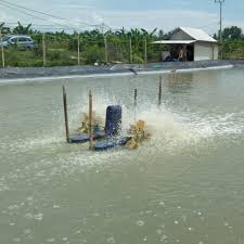 Mereka menyulap lahan pasir yang semula tidak berfungsi, menjadi areal pertambakan. Infomina Pengelolan Air Di Tambak