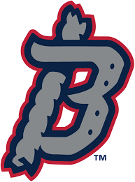 Binghamton Rumble Ponies Sports Team Logos Sports Logo Design Sports Logo