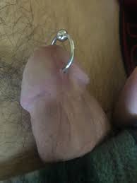 My two week old Prince Albert, looks fine and has mostly completely stopped  hurting but I like to make sure, plus I like to show it off : r/piercing