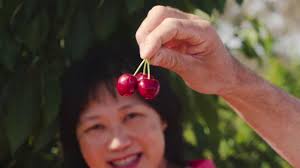 National Cherry Festival