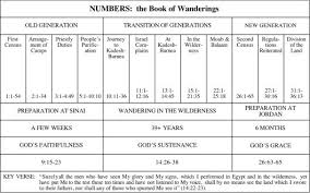 Understanding Numbers Bible Study Tips Bible Study Help Christian Bible Study
