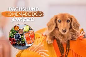 A homemade recipe guaranteed to make your dog healthy and happy! Dachshund Homemade Dog Food Recipes Nutrition Tips Canine Bible