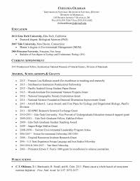 Academic Cv For Phd Application Example Best Resume Examples