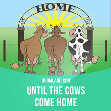Until The Cows Come Home Means For A Very Long Time Example We Could Talk About This Problem Until The Cows Come H English Idioms Idioms English Phrases