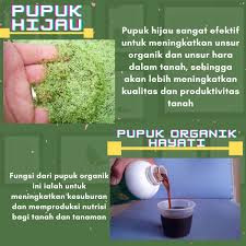 Pin Di Jenis Jenis Pupuk Organik