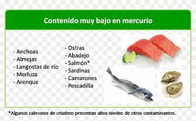 Durante El Embarazo Que Tipo De Pescado Se Puede Se Puede Comer En La Lactancia Hd Png Download 978x578 4602986 Pinpng