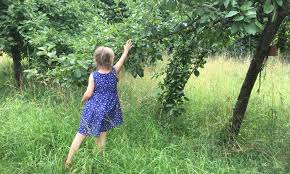 Finkens garten is a nature experience garden in cologne's rodenkirchen district. Mit Nase Ohren Und Fussen Kanguru Magazin