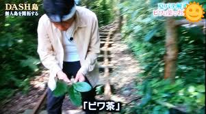 なまけもの On Twitter 城島 ビワ茶 今度はお茶にしようかなと思って 山口 今度もでしょ たぶんビワの実 コーヒー 茶だから 今度は だと思うけど 茂被害者の会からすれば 今度も だなｗ Tokio 鉄腕dash