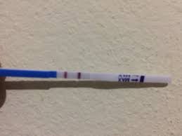 Teste De Farmacia Pode Dar Falso Positivo Sera Que E Gravidez Babycenter