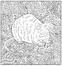 Our coloring pages are free and classified by theme, simply choose and print your drawing to color for hours! 100 Rats Love Coloring Ideas In 2021 Coloring Pages Coloring Books Rats