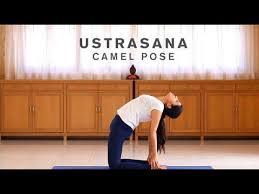 ▷ learn how to safely and properly get your easy. How To Do Ustrasana Camel Pose Youtube