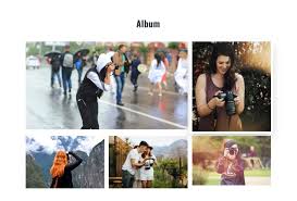 So, if you see an image that you like, download it before it expires. Photo Gallery Portfolio Website Templates And Wordpress Themes W3layouts