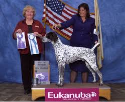 CH Minado's On The Marc, CGC (Marcus, 2005-2018)