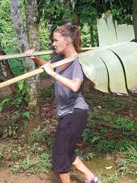 We, the board of trustees of the bukit merah orang utan island foundation and the panel of advisors, have resolved that, we have an obligation to our stakeholders ??? Program Reviews Volunteer Truth