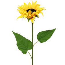 Composizione in cesto con rose, lilium e fiori di stagione. Girasole A Gambo Lungo Giallo 53cm 87692 Acquista A Buon Mercato Online