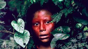 dört bir tarafında yaşanan doğa