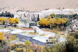 临溪赏胡杨领略奇景观阿克塞多坝沟胡杨峡景区欢迎您