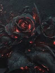 Beautiful Burnt Rose Black Dark Art Art Dark Aesthetic
