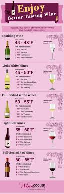 Wine Serving Storage Temperatures Infographic